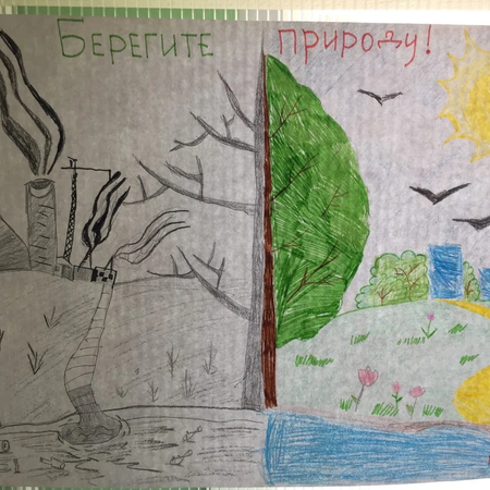 День эколога в лагере