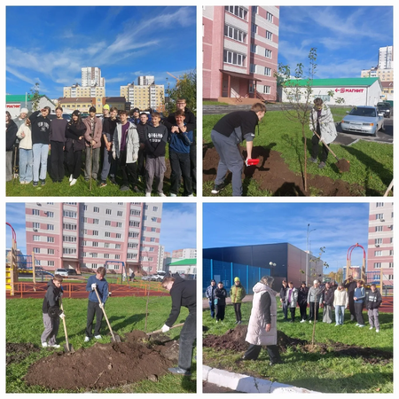 Участие в проекте «1000 деревьев»