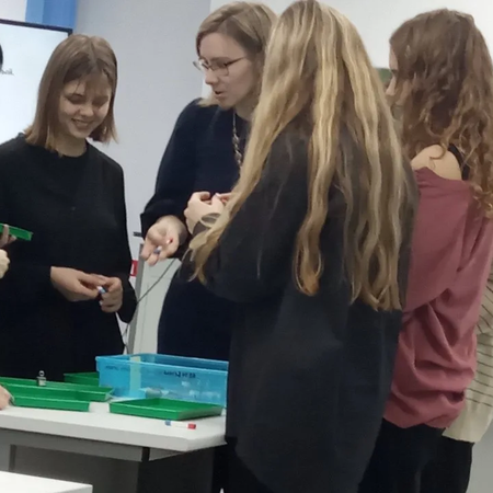 ГМО учителей физики в нашей школе