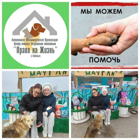 Акция по сбору корма для животных