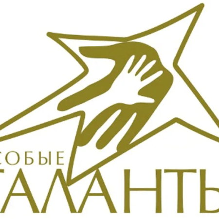 Итоги проекта «Особые дети- особые таланты»