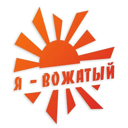 Отбор в вожатые