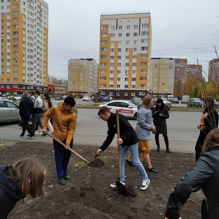 Участие в программе "1000 деревьев"