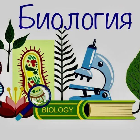 Поздравляем призеров городской игры по биологии