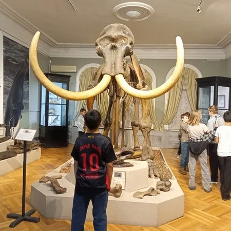 Экскурсии, культурные выходы  школьников