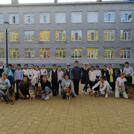 Урок добра «Наши четвероногие друзья»