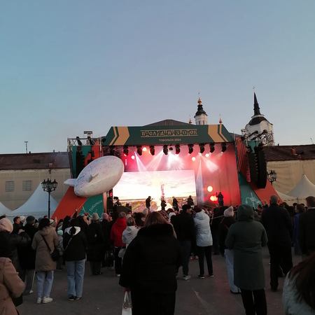 Мы - участники общегородского Последнего звонка - 2024