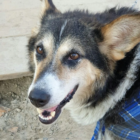 Акция "Милосердие"