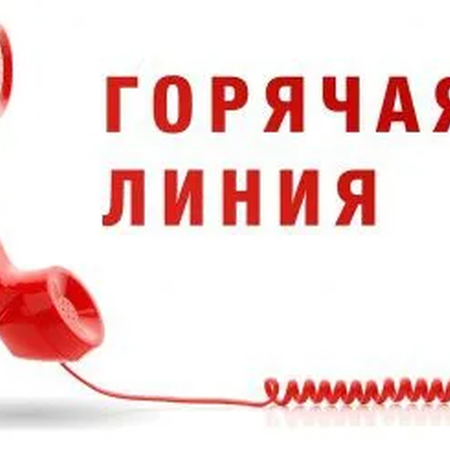 График работы "Горячей линии" в МАОУ СОШ №12
