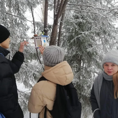 Покормите птиц зимой