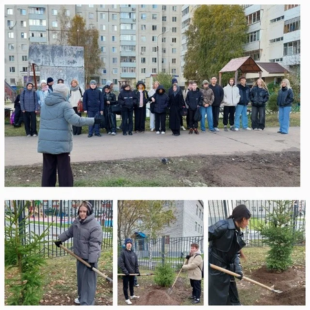 Приняли участие в экологической акции «1000 деревьев»