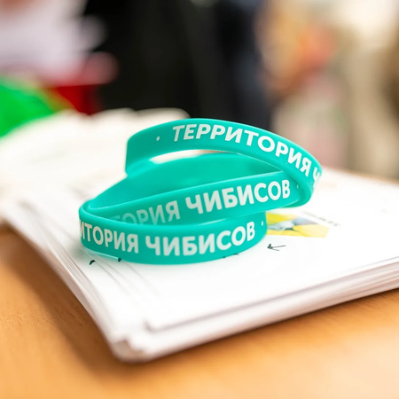 «Территория чибисов» и ребята из 7 В класса