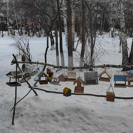 Птичья столовая