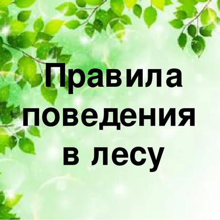 Буклет "Правила поведения в лесу"